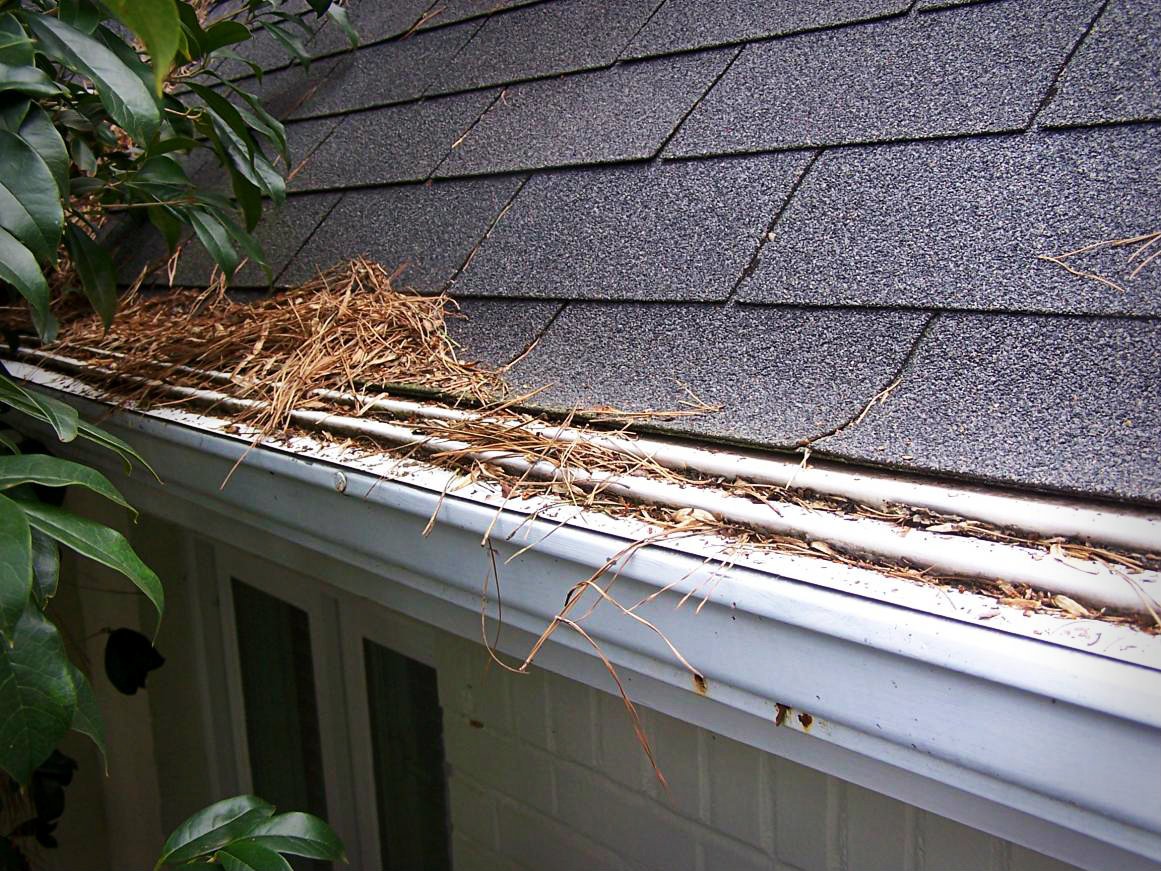 Main Line, PA Gutter Cleaning Contractors