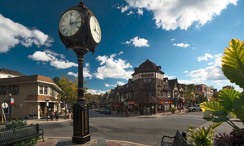 Swarthmore, PA Gutter Cleaning Services