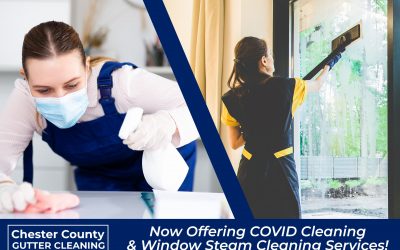 Stay Safe & Healthy in 2022. Now Offering COVID Cleaning & Window Washing Services.