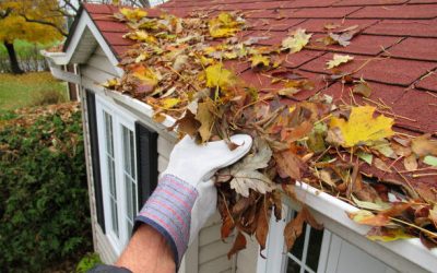 It’s Not Too Late for Gutter Cleaning!